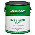Flat white paint